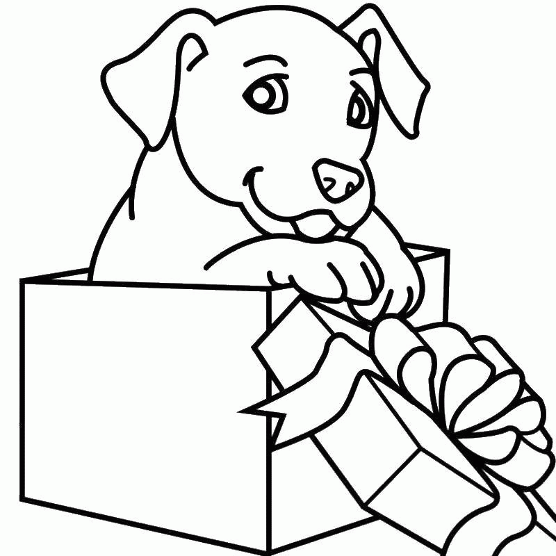 Название: Раскраска Собака в коробке. Категория: . Теги: .
