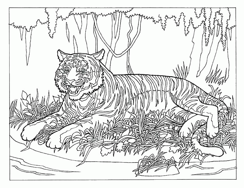 Название: Раскраска Тигр лежит в лесу. Категория: . Теги: .