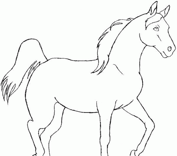 Название: Раскраска Красивая лошадь. Категория: . Теги: .
