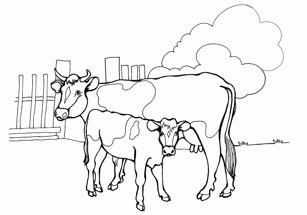 Название: Раскраска Раскраска  корова с телёнком. Скачать Корова, Теленок.  Распечатать Домашние животные. Категория: . Теги: .