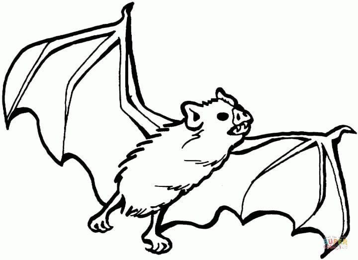 Название: Раскраска Летучая мышь с клыками. Категория: . Теги: .