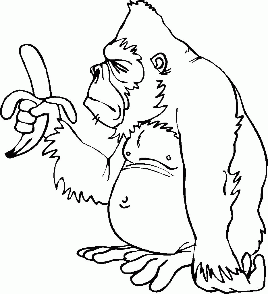 Название: Раскраска Раскраска грустная горилла с бананом. Скачать горилла.  Распечатать Дикие животные. Категория: . Теги: .