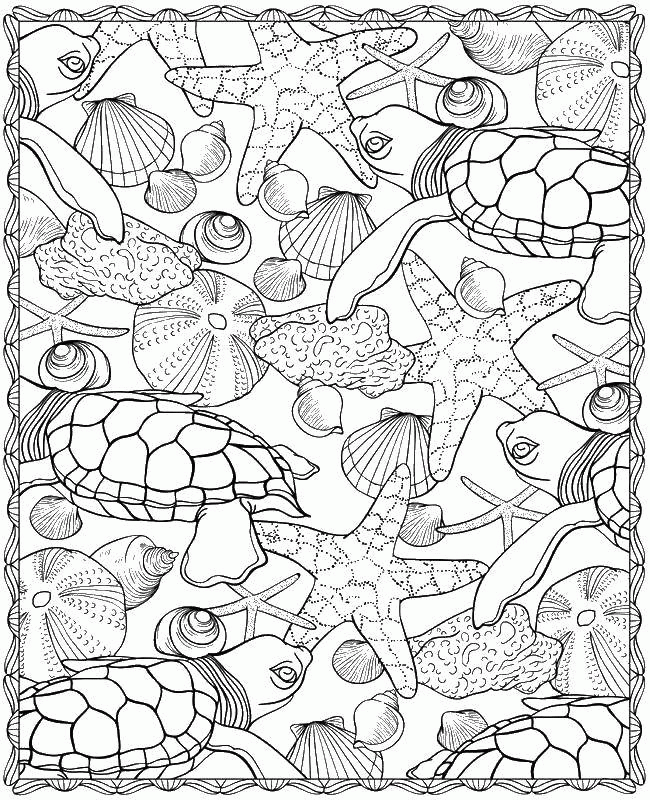 Название: Раскраска Раскраска  Скачать Рептилия, черепаха.  Распечатать ,Морские животные,. Категория: . Теги: .