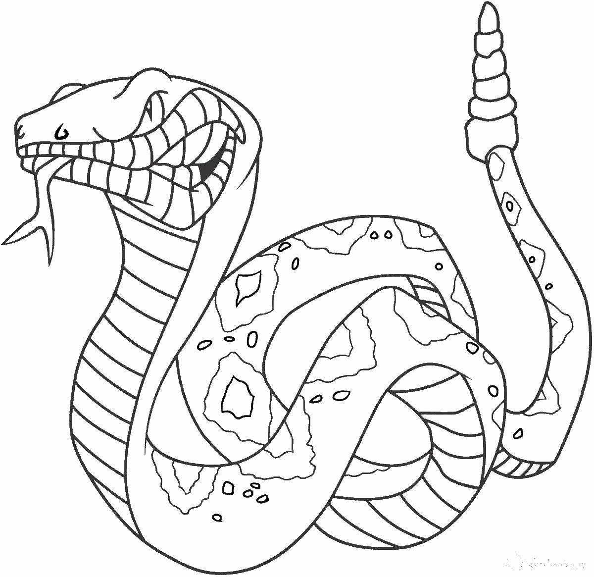 Название: Раскраска Большая змея. Категория: . Теги: .