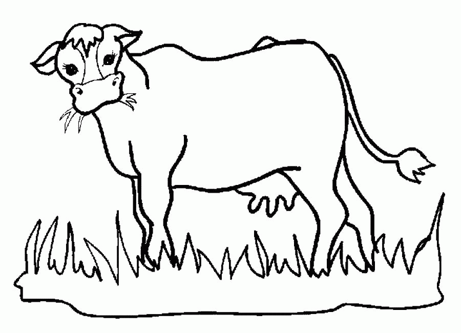 Название: Раскраска Корова жует траву на лужайке. Категория: . Теги: .