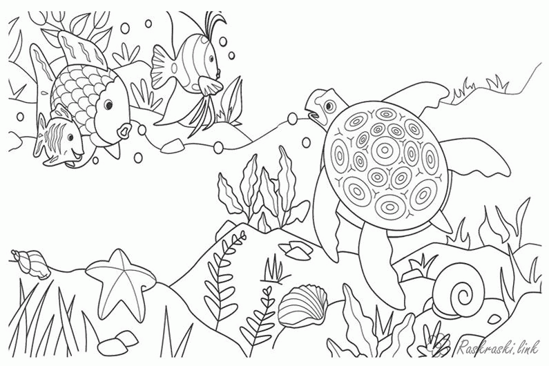 Название: Раскраска Раскраска черепаха и рыбки. Категория: . Теги: .