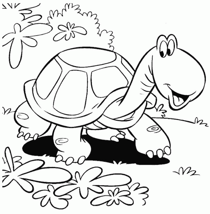 Название: Раскраска Раскраска черепаха разглядывает траву. Скачать Черепаха.  Распечатать Дикие животные. Категория: . Теги: .