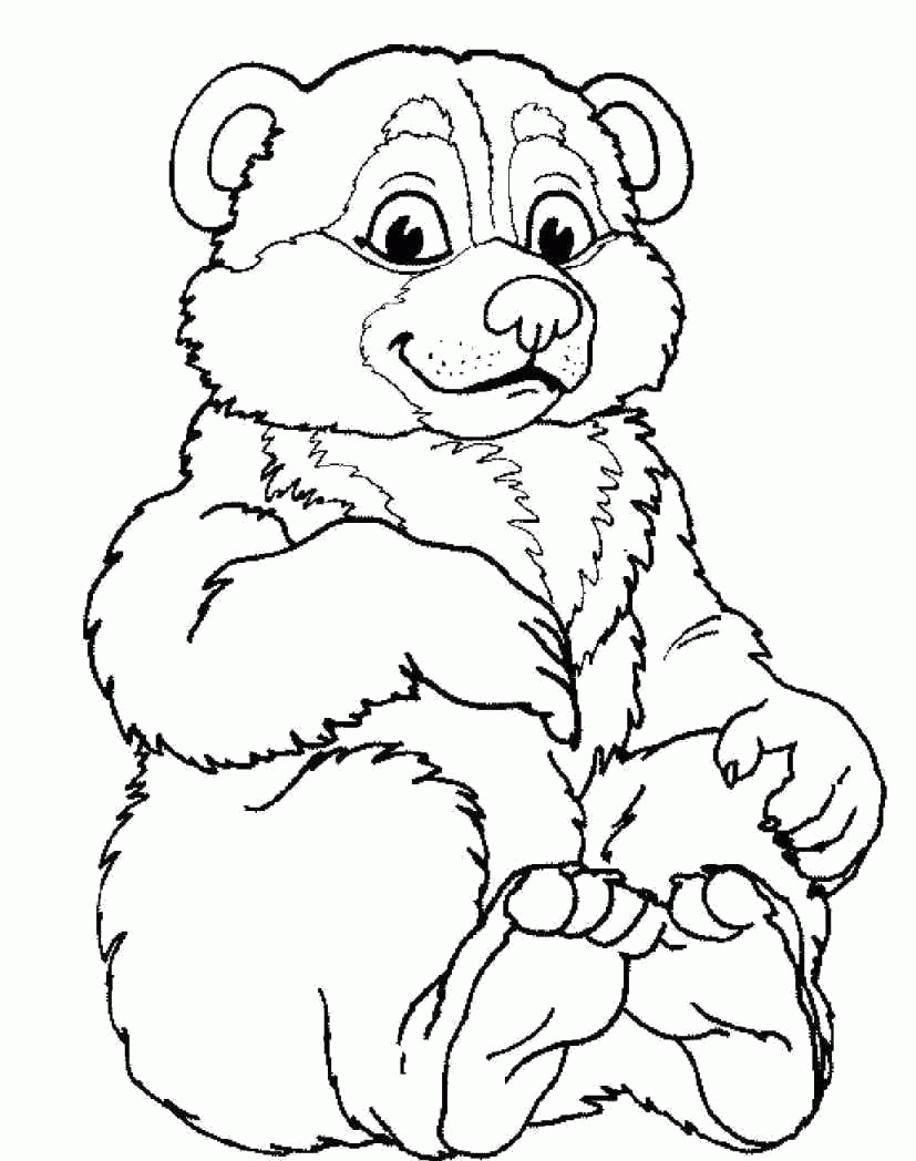 Название: Раскраска Раскраска смешной медвеженок. Скачать медведь.  Распечатать Дикие животные. Категория: . Теги: .
