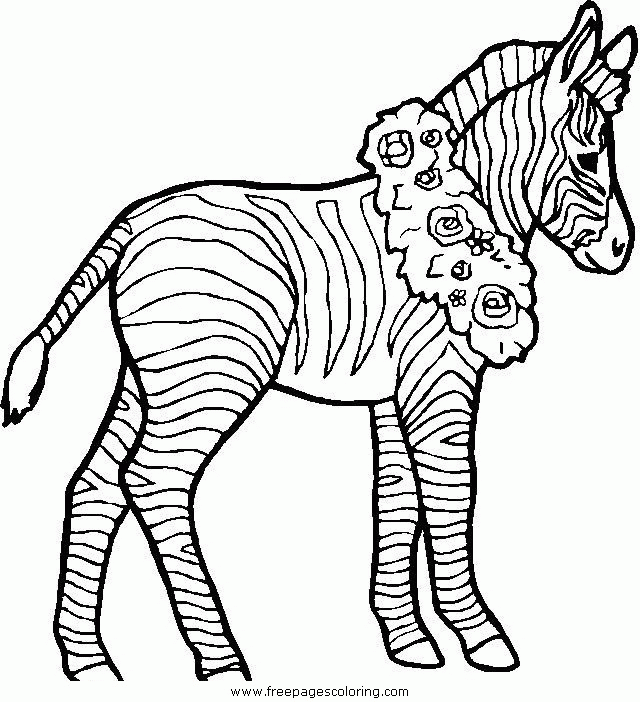 Название: Раскраска зебра с венком на шее. Категория: . Теги: .