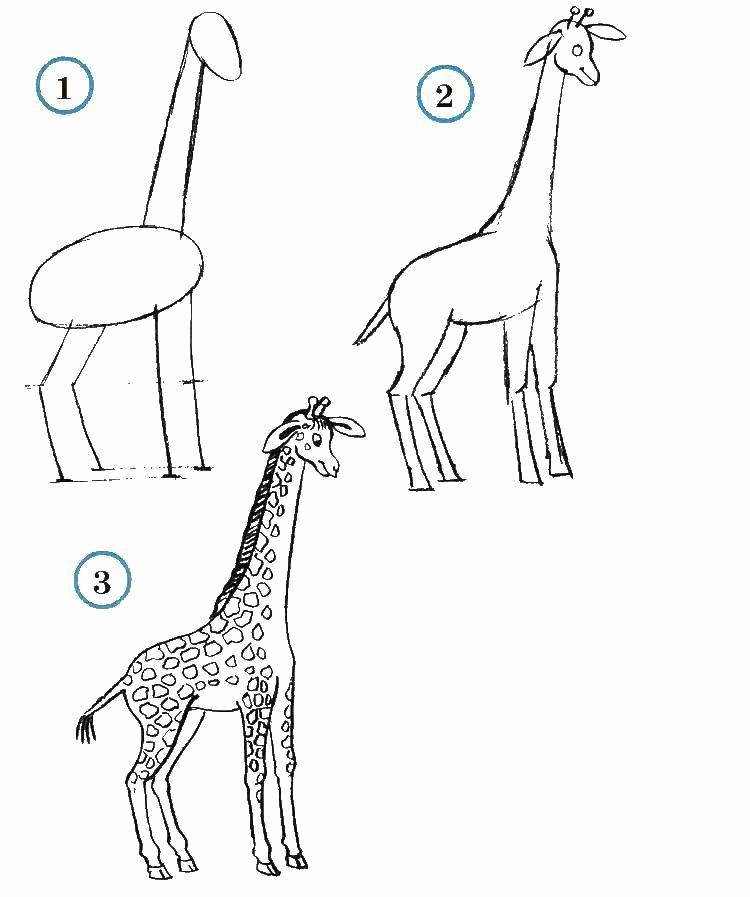 Название: Раскраска Учимся рисовать жирафа. Категория: . Теги: .