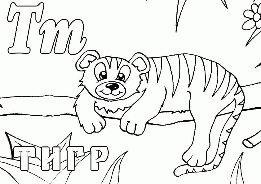 Название: Раскраска Раскраска Тигр в джунглях Скачать тигр, джунгли.  Распечатать ,Животные,. Категория: . Теги: .