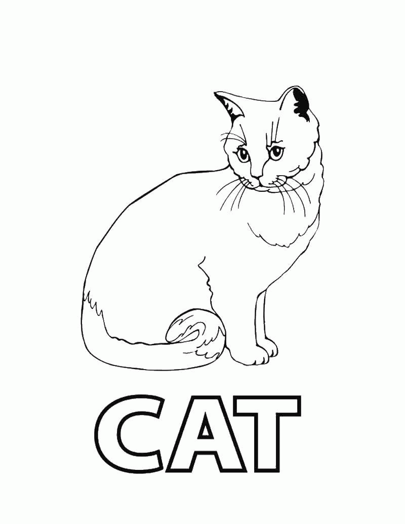 Название: Раскраска Кошка на английском. Категория: . Теги: .