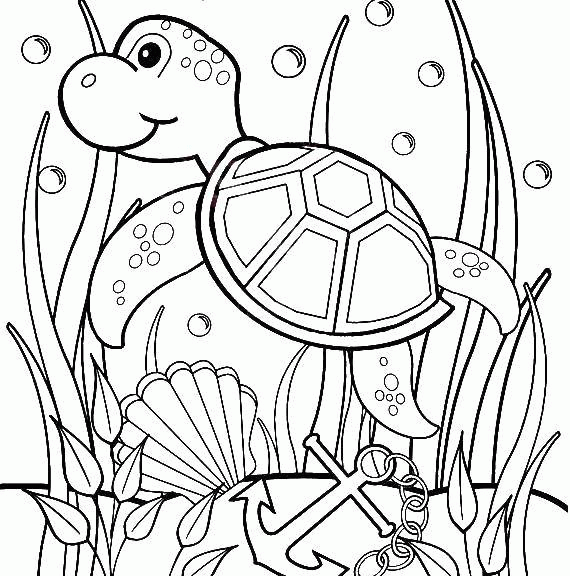 Название: Раскраска Название: Раскраска Морская черепашка плавает у водорослей. Категория: Черепаха. Теги: Рептилия, черепаха.. Категория: . Теги: .