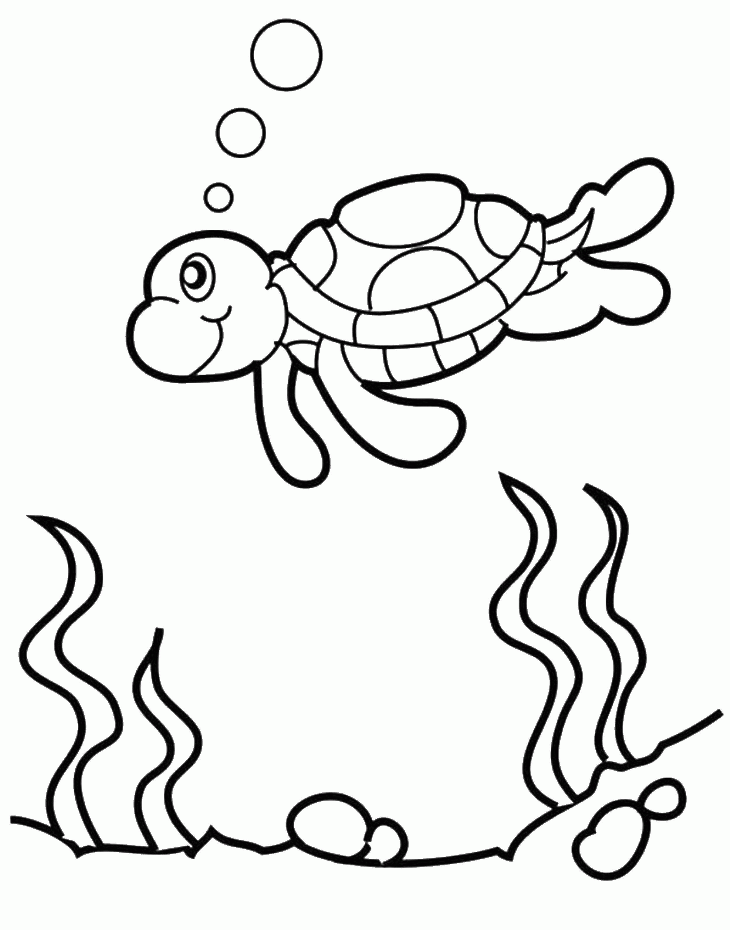 Название: Раскраска Название: Раскраска Морская черепашка пускает пузырики. Категория: детеныши животных. Теги: Рептилия, черепаха.. Категория: . Теги: .